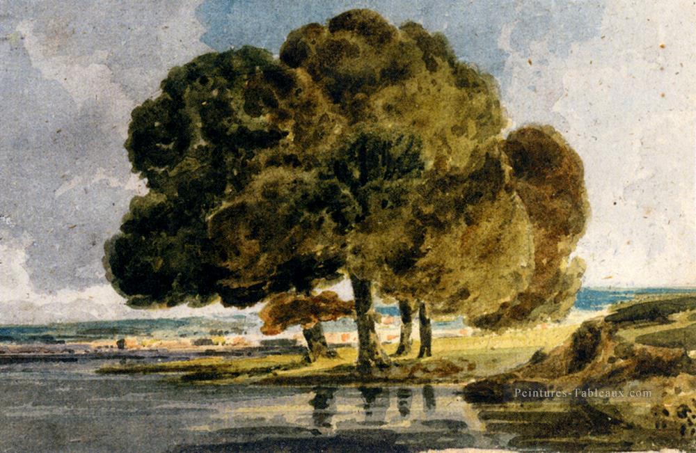 Arbres sur un paysage d’aquarelle Riverbank Thomas Girtin Paysage Peintures à l'huile